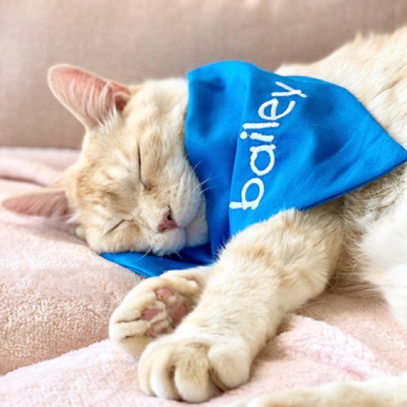 Hi, nice to meet you! - Picture 1 of 1